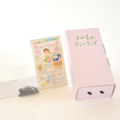 ふるさと納税 砺波市 チューリップ球根(20球) |  | 02