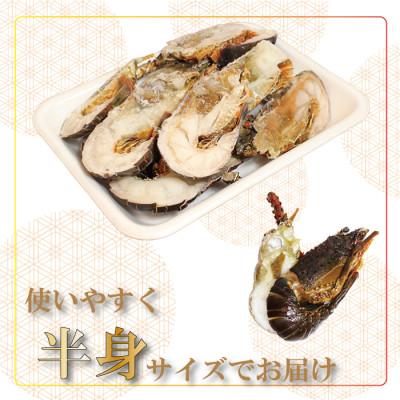 ふるさと納税 美浜町 冷凍伊勢えびカット(サイズ不揃い)約1kg(美浜町) |  | 01
