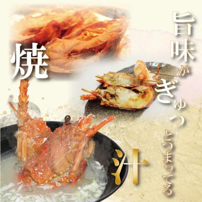 ふるさと納税 美浜町 冷凍伊勢えびカット(サイズ不揃い)約1kg(美浜町) |  | 02