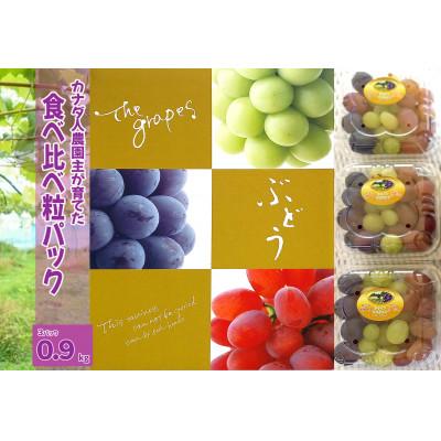 ふるさと納税 世羅町 [カナダ人農園主の真心を込めた]ぶどう粒食べ比べパック約0.9kg
