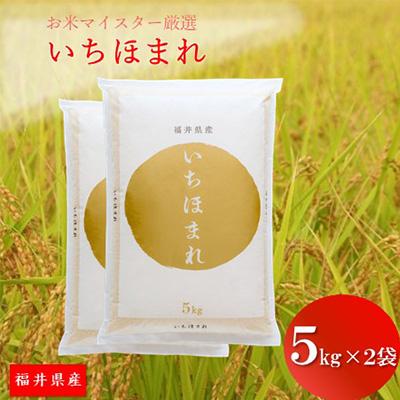 ふるさと納税 鯖江市 福井県産[令和7年産]いちほまれ 10kg