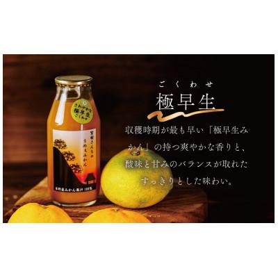 ふるさと納税 秦野市 秦野産みかんストレートジュース(3本) |  | 02