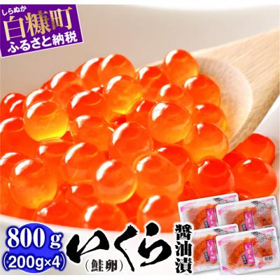 ふるさと納税 白糠町 鮭いくら醤油漬け 800g(200g×4) 小分けパック | 