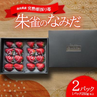 ふるさと納税 高取町 点心カフェ花水土香 が紡ぐ「朱雀のなみだ」奈良県産 完熟朝採り苺 (250g 以上×2pc)