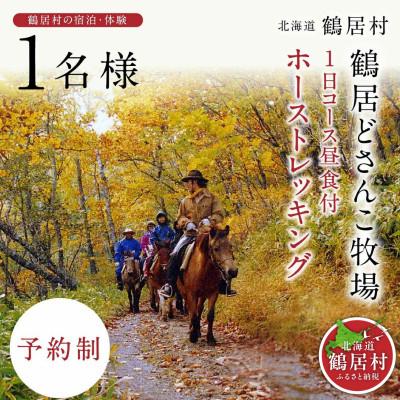 ふるさと納税 鶴居村 鶴居どさんこ牧場ホーストレッキング1日コース昼食付(1名様)乗馬 体験 北海道鶴居村