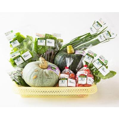 ふるさと納税 北斗市 【JAS認定有機野菜】北斗市産　有機野菜8〜10種類野菜セット 紙箱入(季節で種類が変わります) | 