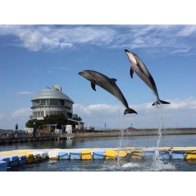 ふるさと納税 小豆島町 「瀬戸・たかまつネットワーク」香川県(さぬき市・三木町・東かがわ市方面) 2日間