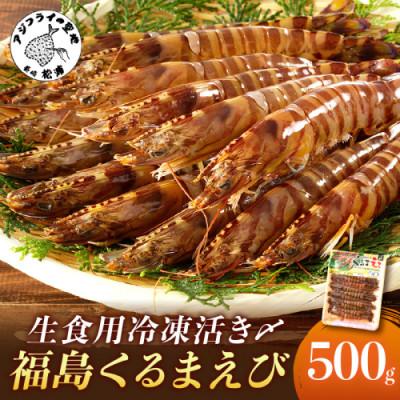 ふるさと納税 松浦市 生食用 瞬間冷凍活き〆福島くるまえび500g
