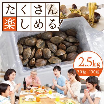 ふるさと納税 別海町 【北海道野付産】大粒天然 活あさり 大満足2.5kg前後 (70〜130粒) 希少な 冷蔵国産大浅利 |  | 01