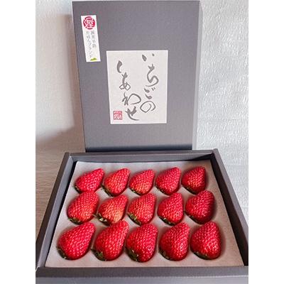 ふるさと納税 田原市 [愛知県・田原産]ブランドいちご『いちごのしあわせ』約8粒〜15粒