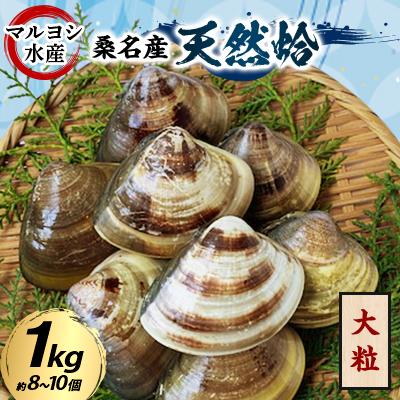 ふるさと納税 桑名市 マルヨシ水産 桑名産大粒天然蛤1kg