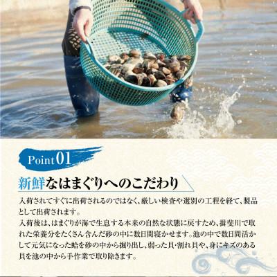 ふるさと納税 桑名市 マルヨシ水産　桑名産大粒天然蛤1kg 017-0047 |  | 01
