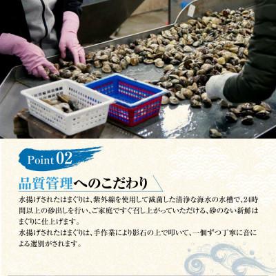 ふるさと納税 桑名市 マルヨシ水産　桑名産大粒天然蛤1kg 017-0047 |  | 02