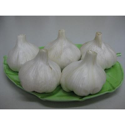 ふるさと納税 土庄町 島の乾燥にんにく