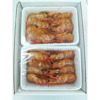 ふるさと納税 増毛町 ボタンエビ1kg(34尾〜46尾) |  | 01
