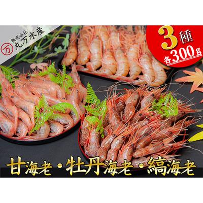 ふるさと納税 増毛町 えび3種セット(甘えび・ボタンエビ・シマエビ)