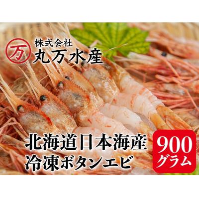 ふるさと納税 増毛町 ボタンエビ 900g(39尾〜54尾)