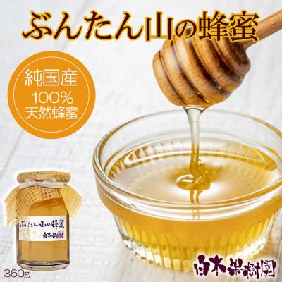 ふるさと納税 土佐市 爽やかな香り広がる100%天然蜂蜜 ぶんたん山の蜂蜜 360g