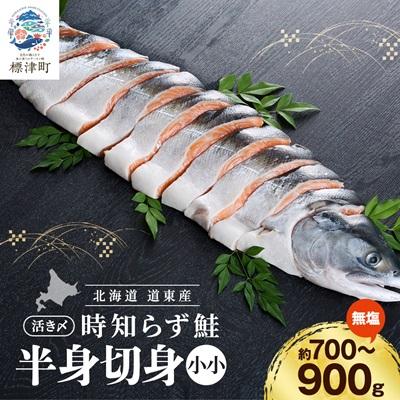 ふるさと納税 標津町 北海道道東産 活き〆時知らず鮭半身切身(小小)約700-900g 北海道 人気 おすすめ さけ 天然