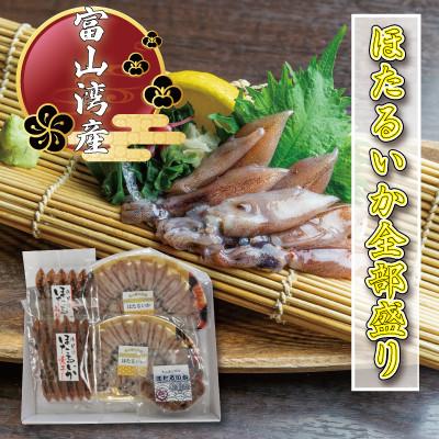 ふるさと納税 氷見市 ホタルイカ全部盛り