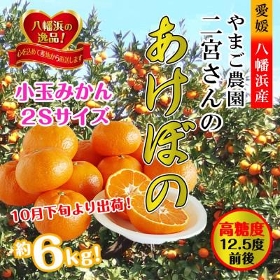 ふるさと納税 八幡浜市 濃厚な味わい!やまご農園の「あけぼの小玉」約6kg[C39-21]
