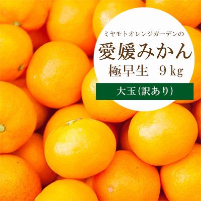 ふるさと納税 八幡浜市 シーズン一番採り 極早生みかん 大玉9kg[訳あり][C25-74]