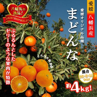 ふるさと納税 八幡浜市 2026年11月発送開始 ぷるぷる新食感「マドンナ」約4kg [D39-31]