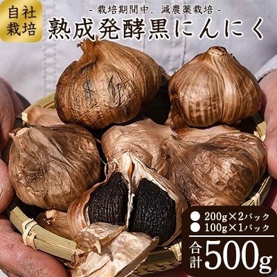 ふるさと納税 寒河江市 [有機質肥料栽培]発酵熟成 黒にんにく 500g