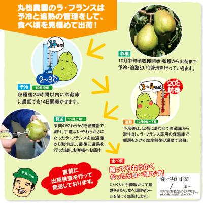 ふるさと納税 寒河江市 山形県産「追熟 ラ・フランス」5kg(14〜18玉)【山形セレクション認定品】 |  | 01