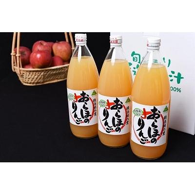 ふるさと納税 寒河江市 ストレート果汁100%「おらほのりんごジュース」3本セット