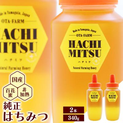 ふるさと納税 寒河江市 非加熱 はちみつ 340g×2本(OT002) | 