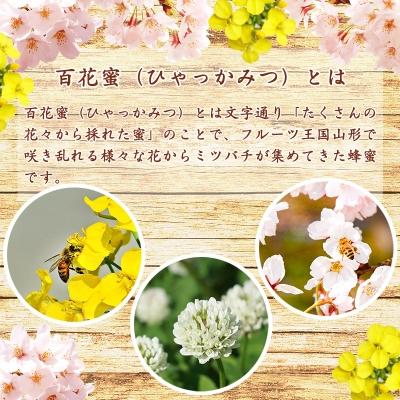 ふるさと納税 寒河江市 非加熱 はちみつ 340g×2本(OT002) |  | 02