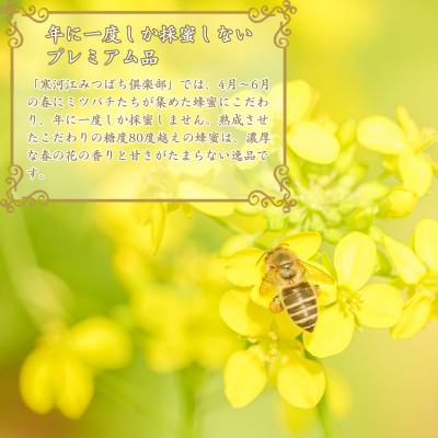 ふるさと納税 寒河江市 非加熱 はちみつ 340g×2本(OT002) |  | 03