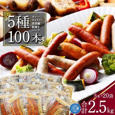 ふるさと納税 寒河江市 5種のウインナー詰め合わせ 合計2.5kg(125g×小分け20パック:計100本)