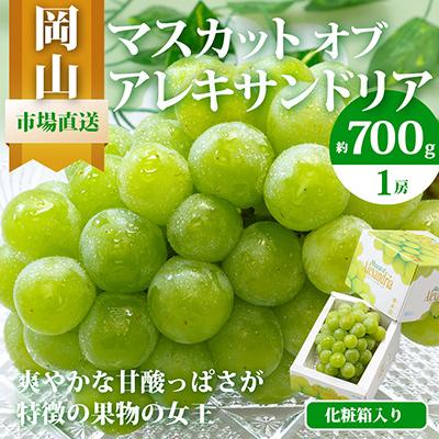 ふるさと納税 玉野市 岡山県産 マスカットオブアレキサンドリア1房(700g以上・秀品以上)化粧箱入り