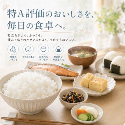 ふるさと納税 江北町 令和7年産【無洗米】さがびより5kg(五つ星お米マイスター厳選!) |  | 02