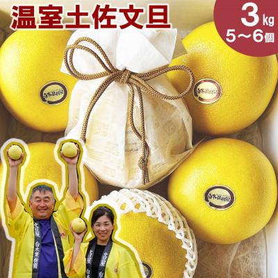 ふるさと納税 土佐市 【化粧箱入り】温室土佐文旦 約3kg(贈答用/高知県