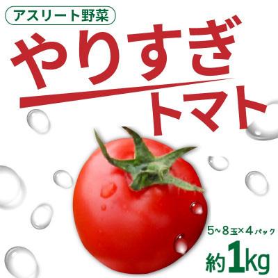 ふるさと納税 京丹後市 [先行受付/2026年夏発送]やりすぎトマト 4パック計約1kg 高糖度ミディトマト アスリート野菜