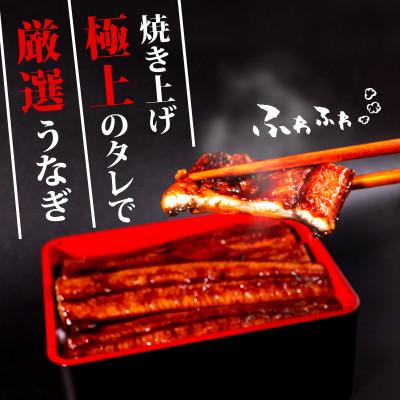ふるさと納税 須崎市 高知県産 大サイズうなぎ蒲焼き220g 10尾セット_1