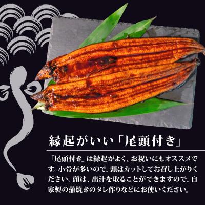 ふるさと納税 須崎市 高知県産 大サイズうなぎ蒲焼き220g 10尾セット_2