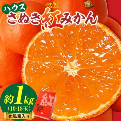 ふるさと納税 三木町 ハウスさぬき紅みかん 化粧箱入り