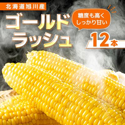 ふるさと納税 旭川市 [先行受付]2026年 鮮やかな黄金色で大粒果肉 ゴールドラッシュ12本_00408