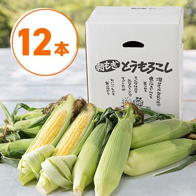 ふるさと納税 旭川市 2027年先行受付【採れたて!フルーティーな甘さ】北海道産大粒果肉ゴールドラッシュ12本_00408 |  | 01