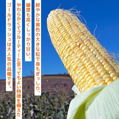 ふるさと納税 旭川市 2027年先行受付【採れたて!フルーティーな甘さ】北海道産大粒果肉ゴールドラッシュ12本_00408 |  | 02