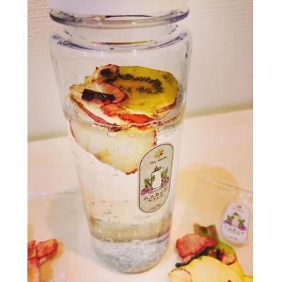 ふるさと納税 旭川市 フレバードリンク用「旭川ハスカップ入り無添加ドライフルーツ」7.5g1.5L用10袋_01694