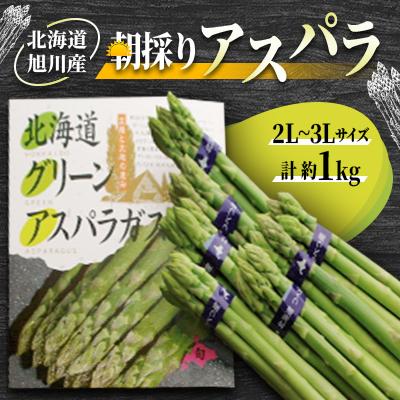 ふるさと納税 旭川市 【2026年発送】朝採りアスパラ(2L〜3Lサイズ)　約1kg_01704