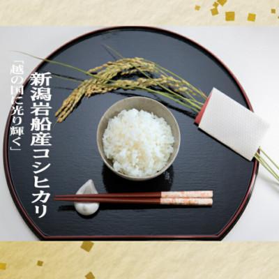 ふるさと納税 村上市 【令和7年産米】にいがた岩船産コシヒカリ(神林