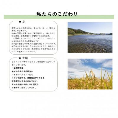 ふるさと納税 村上市 【令和7年産米】にいがた岩船産コシヒカリ(神林