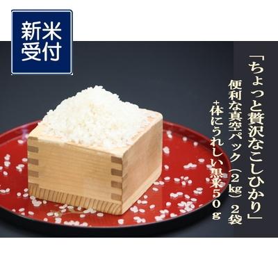 ふるさと納税 村上市 [新米受付・令和8年産米]新潟県岩船産こしひかり4kg&amp;古代米50gセット