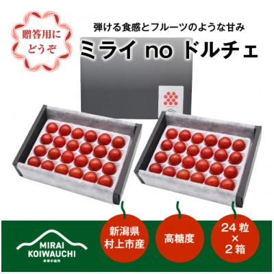 ふるさと納税 村上市 [数量限定]『ミライ no ドルチェ』プレミアム 新潟県村上産ミニトマト(化粧箱入り)B4121